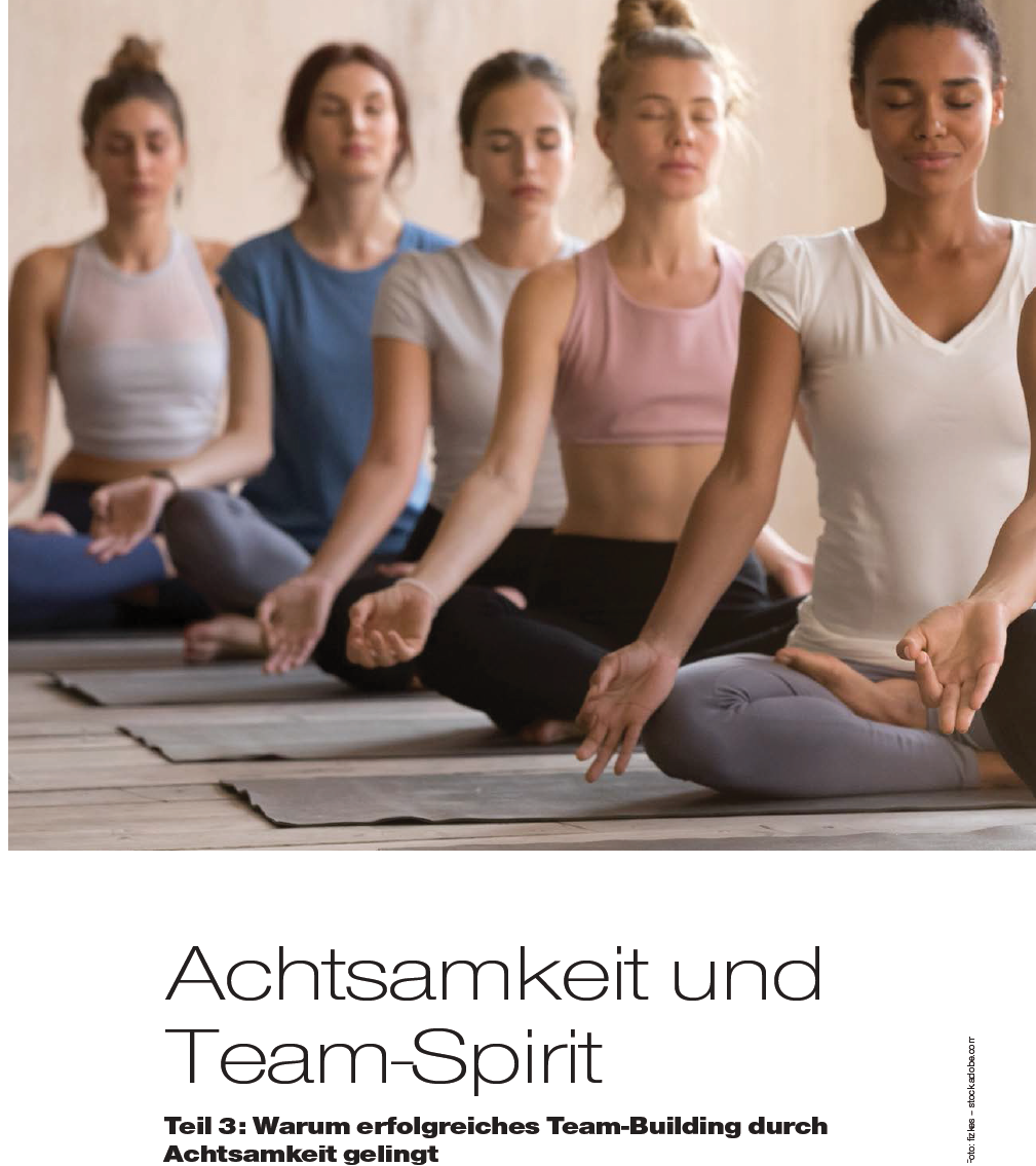 Read more about the article Achtsamkeit und Team-Spirit – warum erfolgreiches Team-Building durch Achtsamkeit gelingt, Teil 3